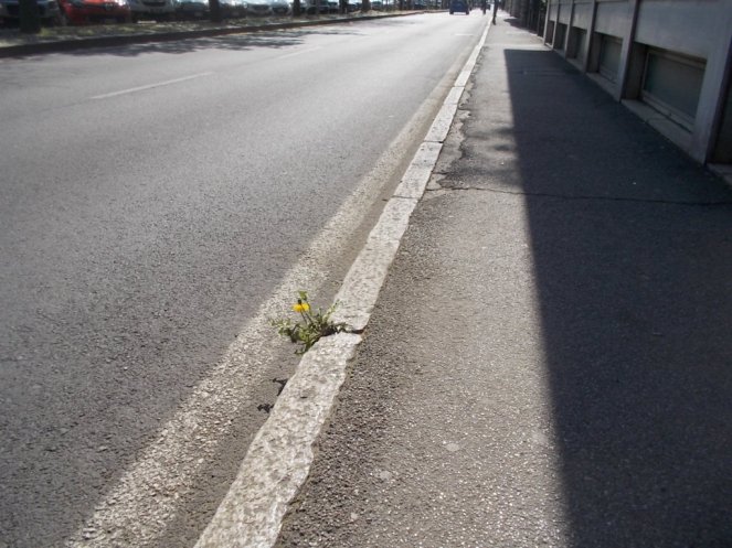 DSCN3366 (FILEminimizer)