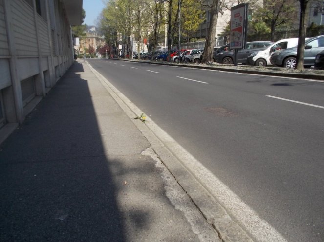 DSCN3367 (FILEminimizer)