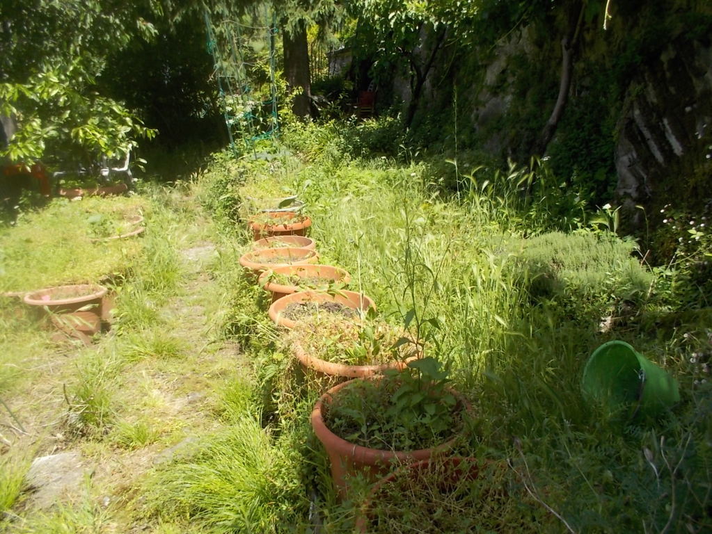 DSCN3382 (FILEminimizer)