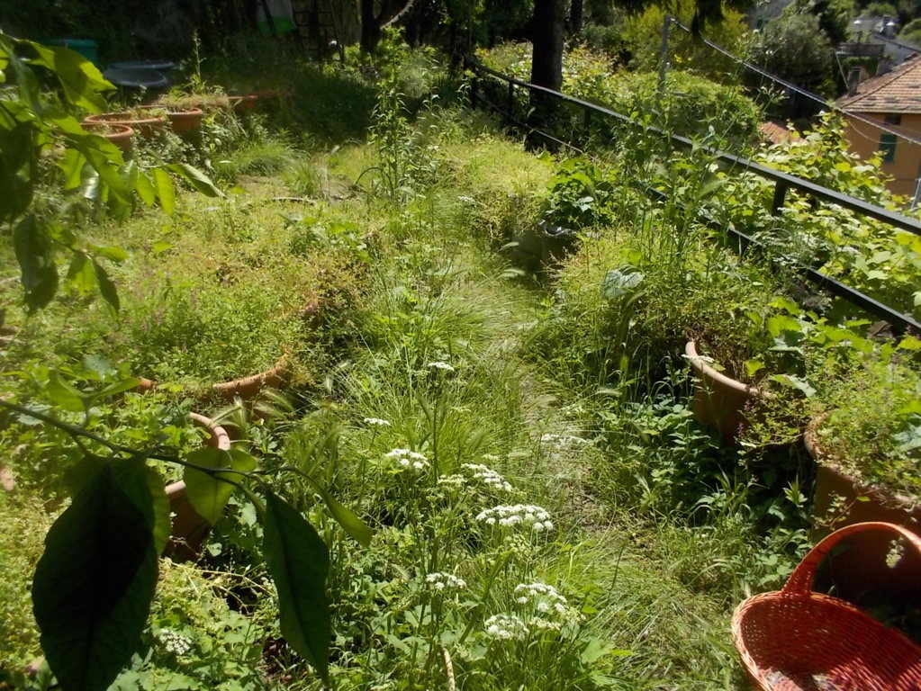 DSCN3386 (FILEminimizer)