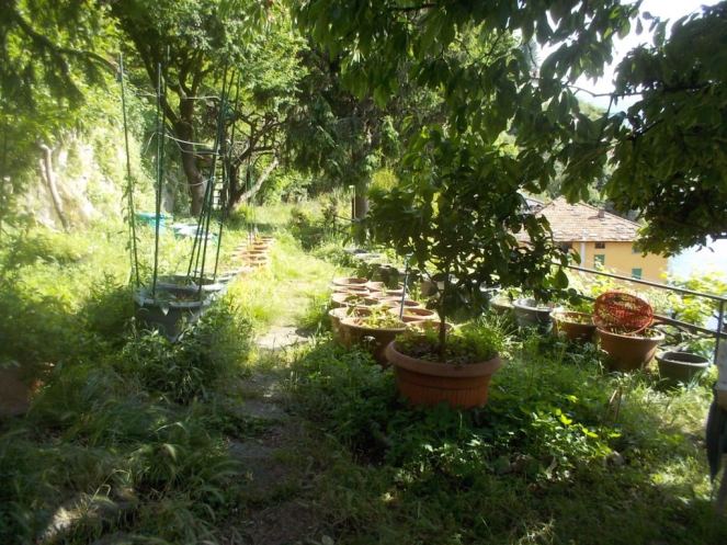 DSCN3387 (FILEminimizer)