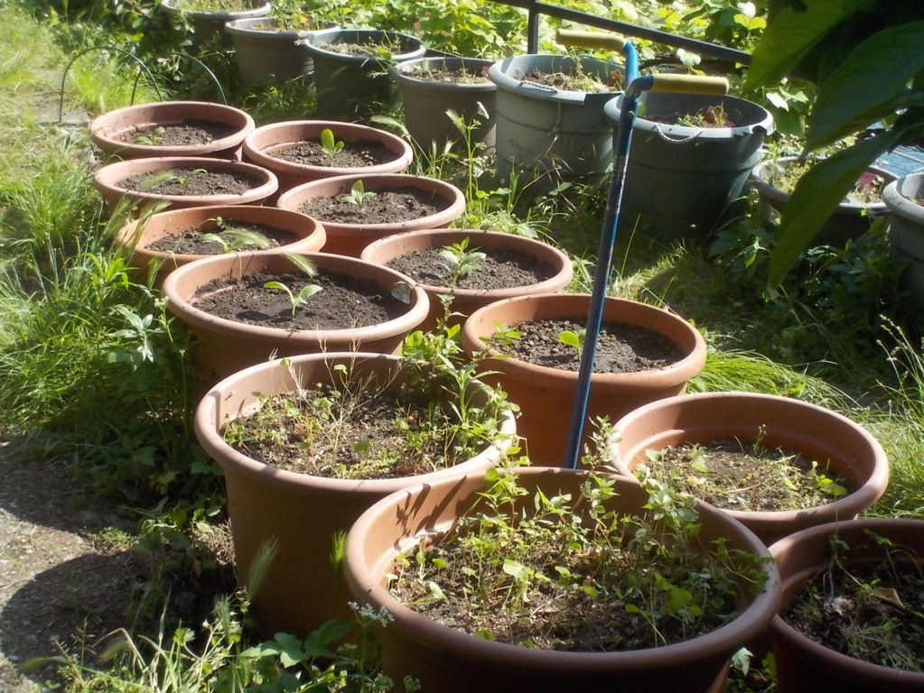 DSCN3390 (FILEminimizer)