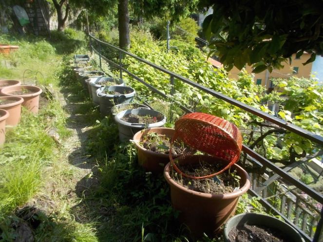 DSCN3391 (FILEminimizer)