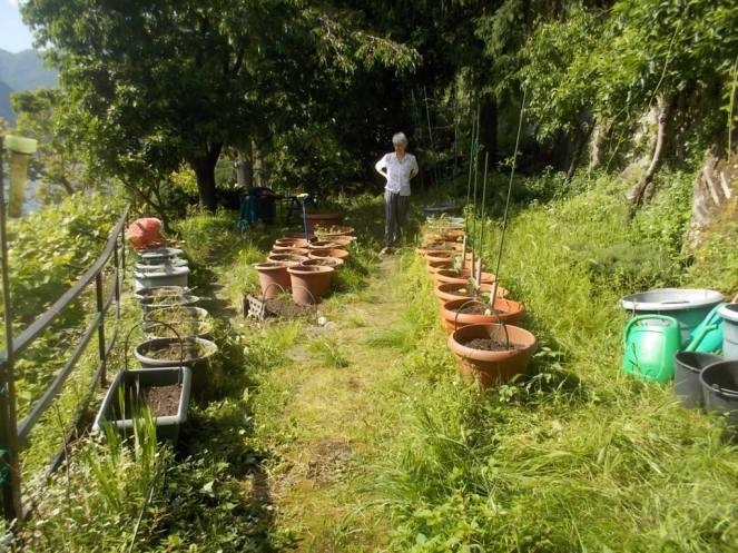 DSCN3392 (FILEminimizer)