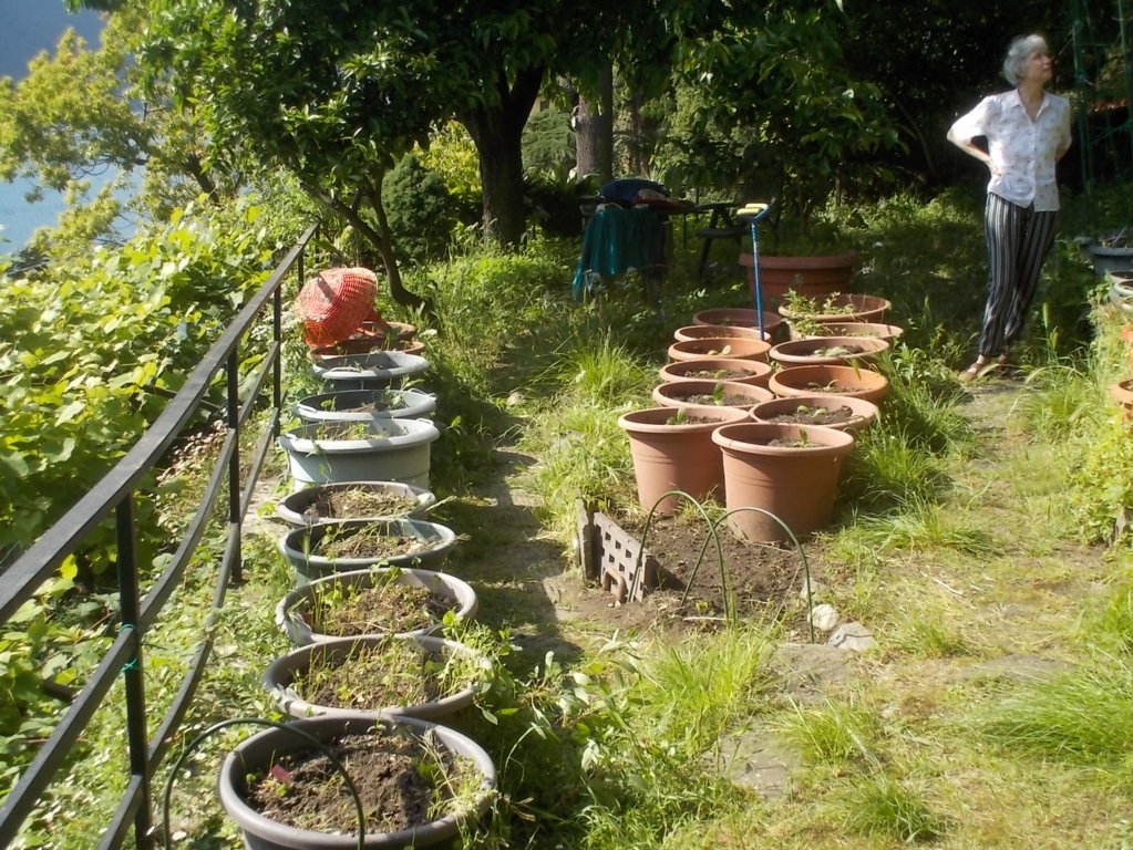 DSCN3393 (FILEminimizer)