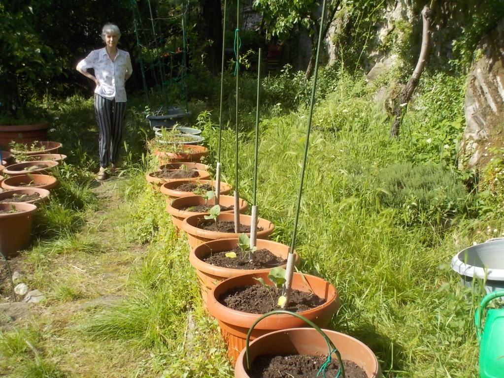 DSCN3394 (FILEminimizer)