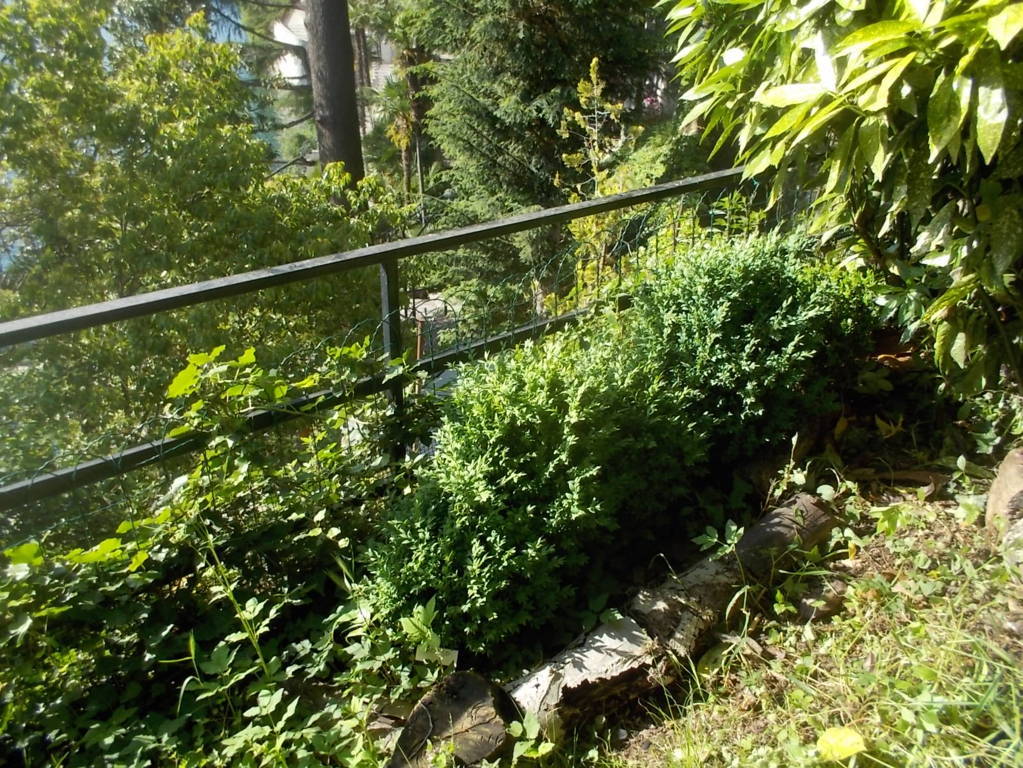 DSCN3395 (FILEminimizer)