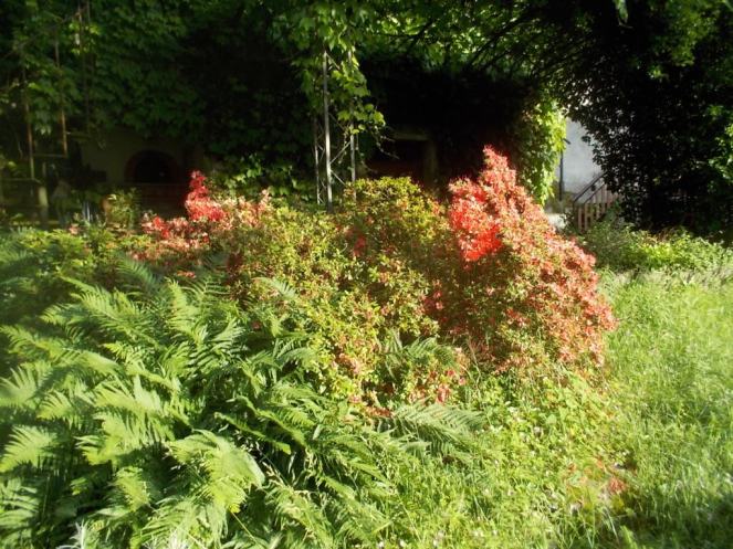 DSCN3399 (FILEminimizer)