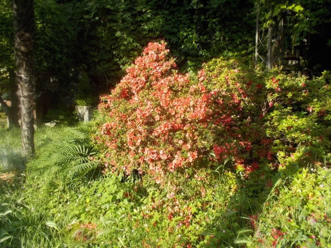 DSCN3401 (FILEminimizer)