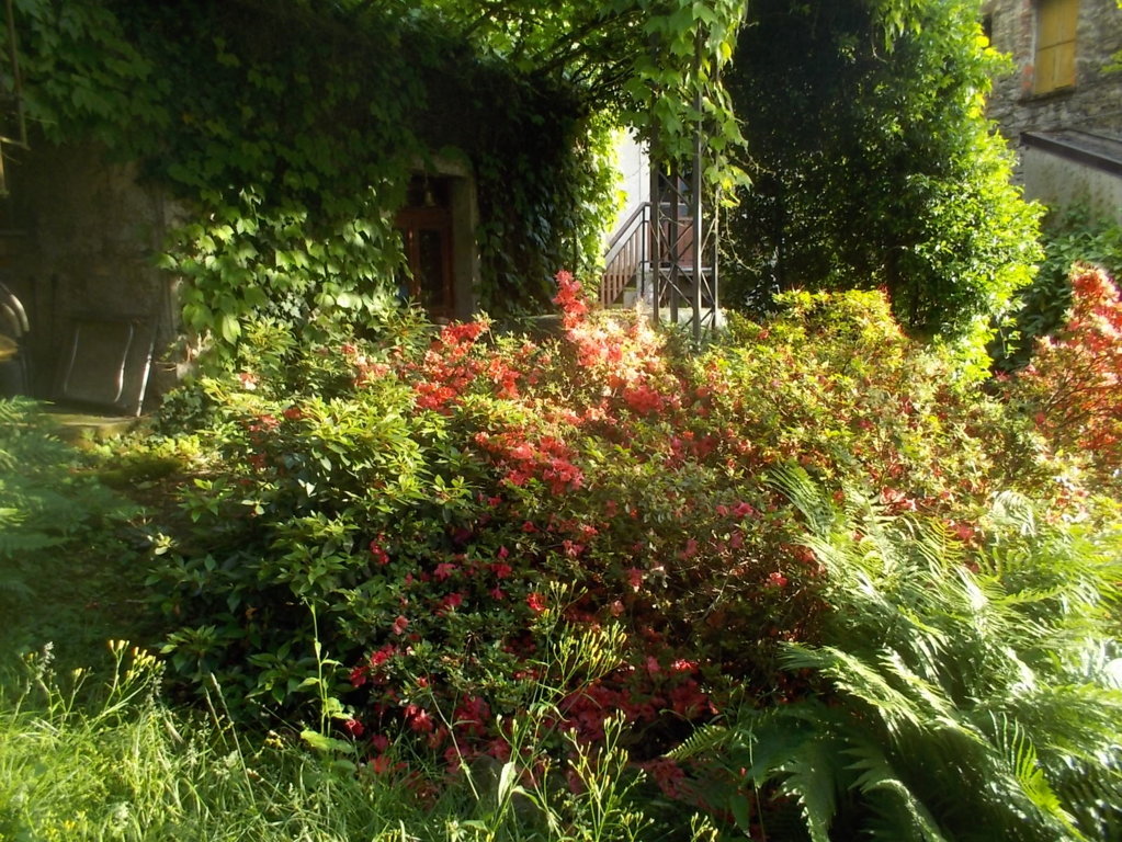 DSCN3404 (FILEminimizer)