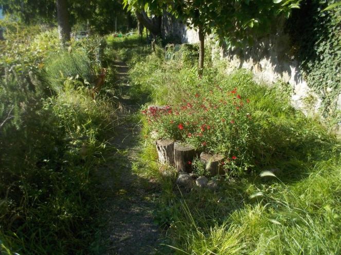 DSCN3405 (FILEminimizer)