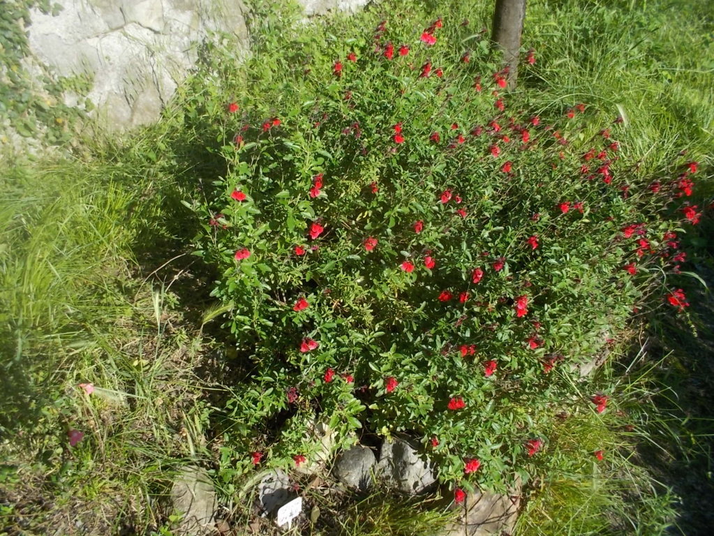 DSCN3407 (FILEminimizer)