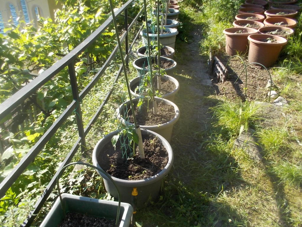 DSCN3408 (FILEminimizer)