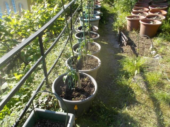 DSCN3408 (FILEminimizer)