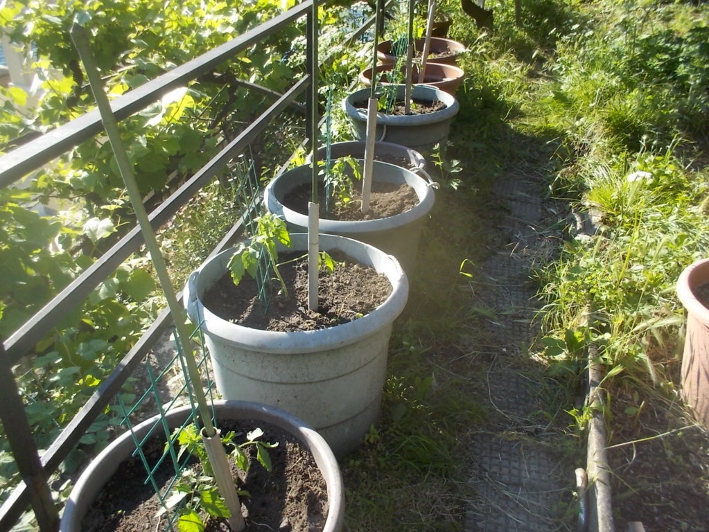 DSCN3409 (FILEminimizer)