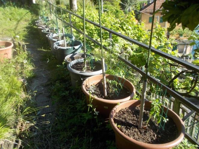 DSCN3410 (FILEminimizer)