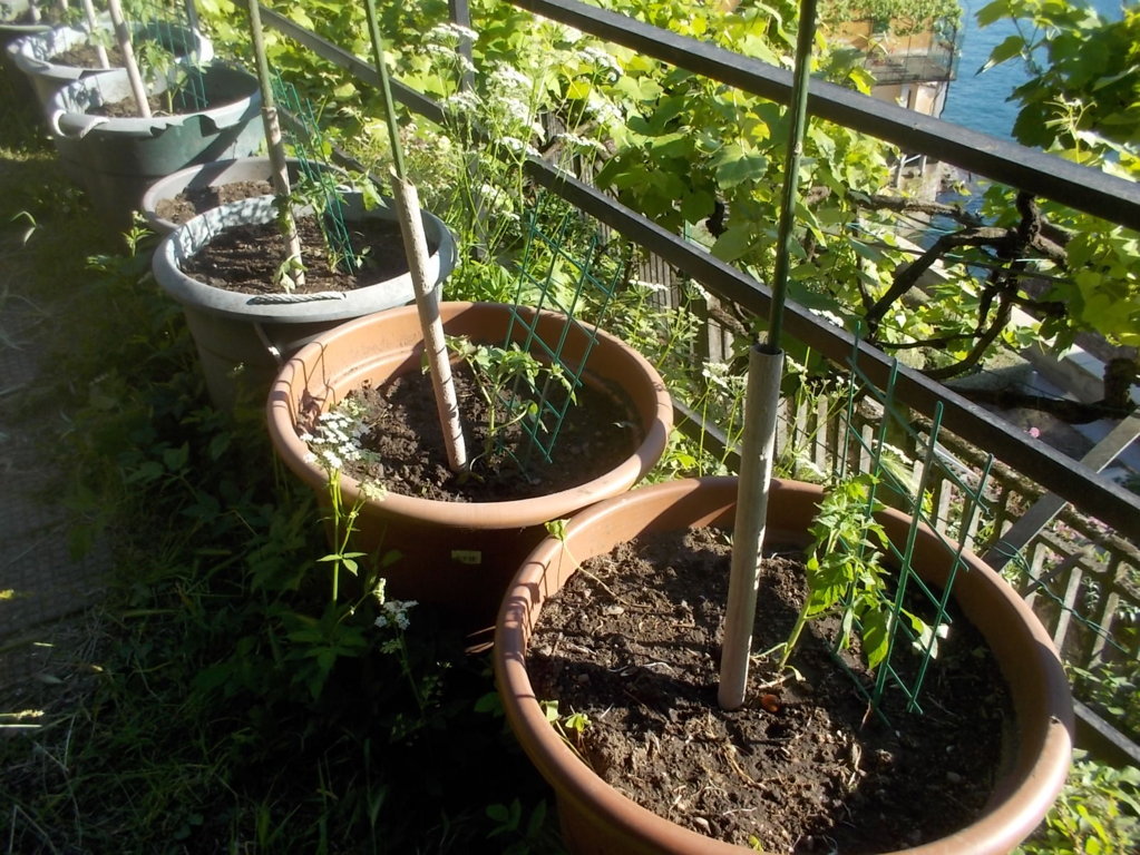 DSCN3411 (FILEminimizer)