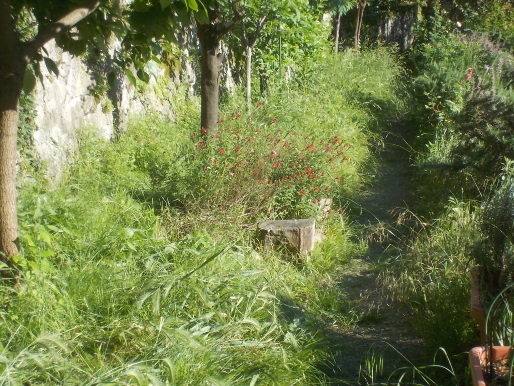 DSCN3413 (FILEminimizer)