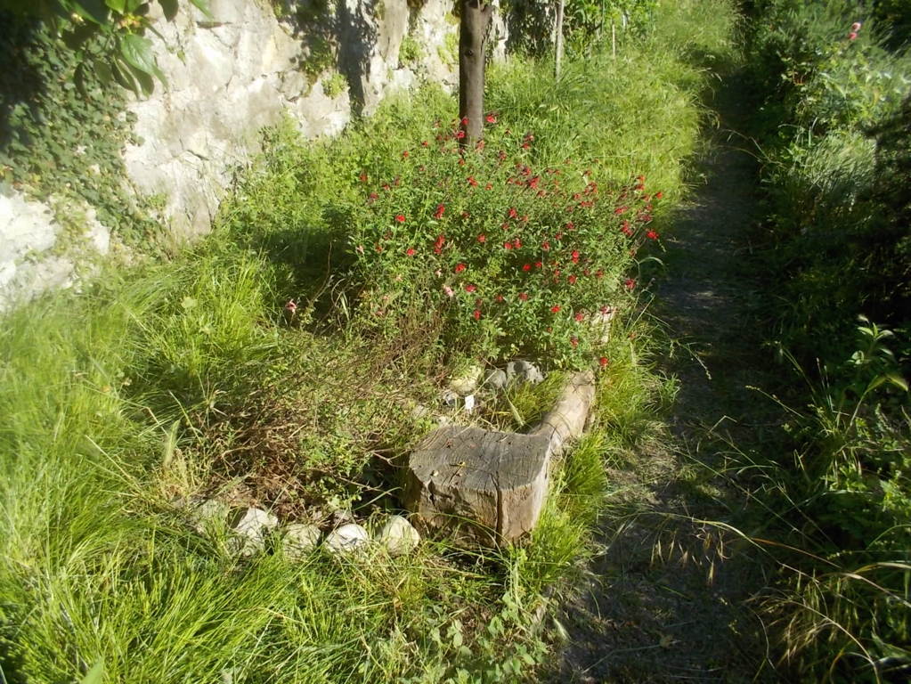 DSCN3414 (FILEminimizer)