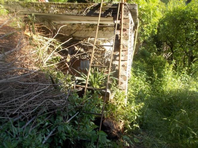 DSCN3419 (FILEminimizer)