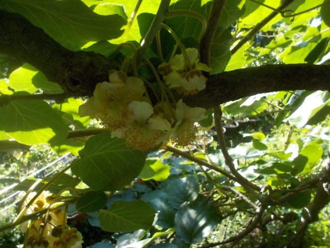 DSCN3421 (FILEminimizer)