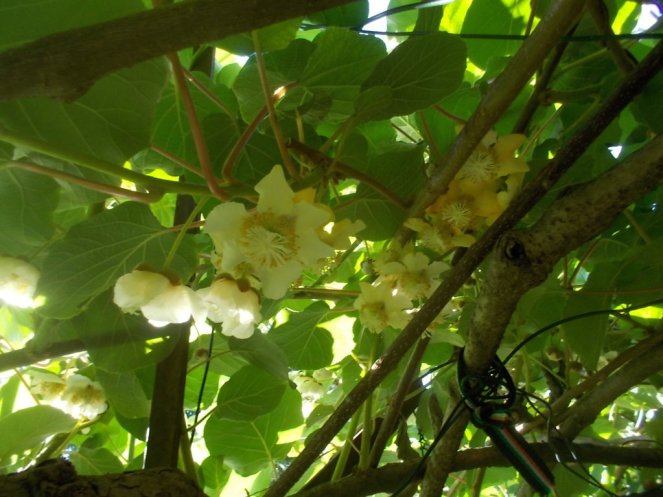 DSCN3422 (FILEminimizer)