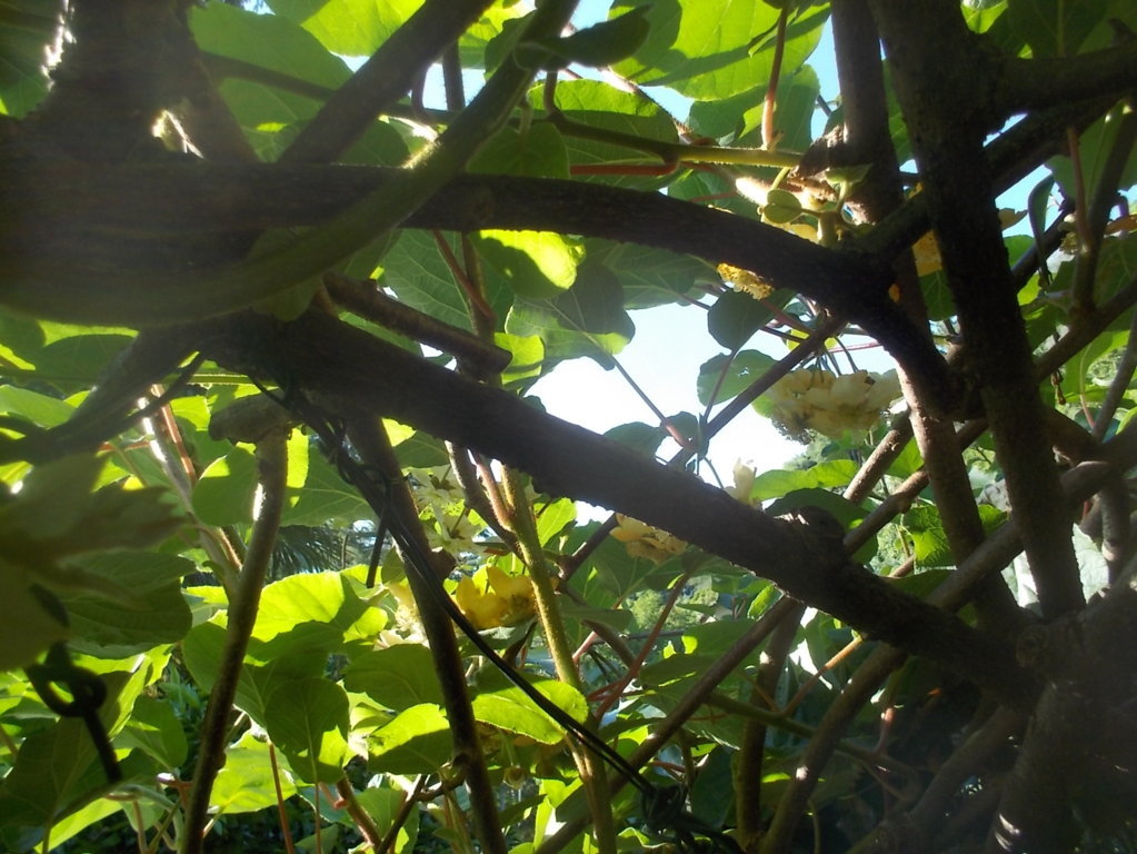 DSCN3424 (FILEminimizer)