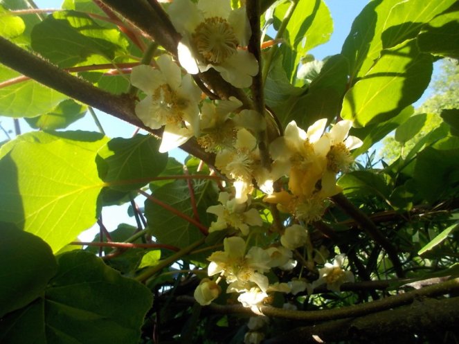 DSCN3425 (FILEminimizer)