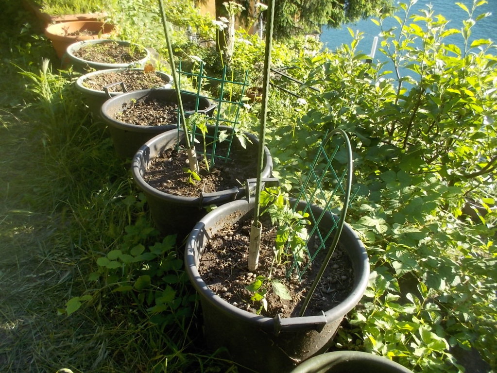 DSCN3427 (FILEminimizer)