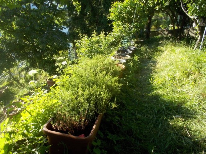 DSCN3429 (FILEminimizer)