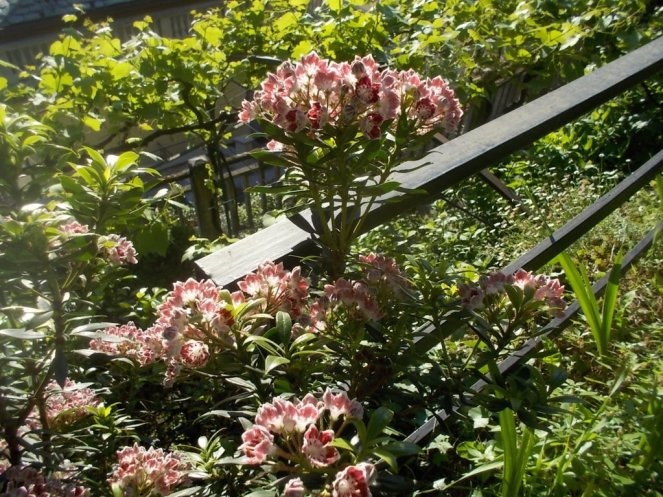 DSCN3430 (FILEminimizer)