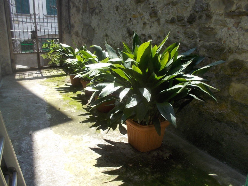 DSCN3432 (FILEminimizer)