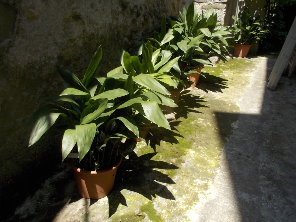 DSCN3433 (FILEminimizer)