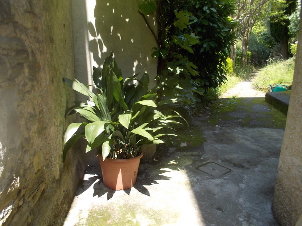 DSCN3434 (FILEminimizer)