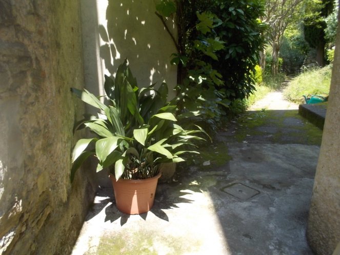 DSCN3434 (FILEminimizer)