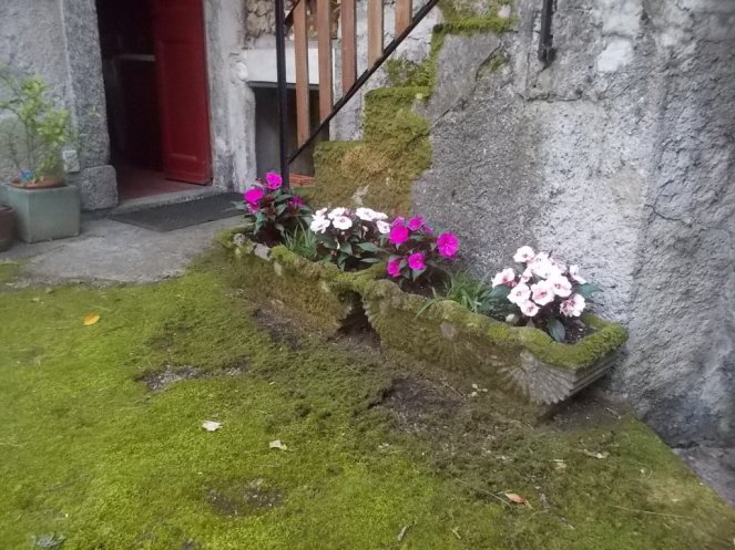 DSCN3435 (FILEminimizer)