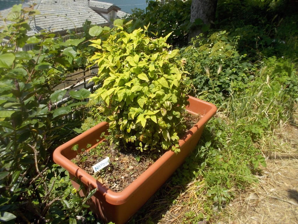 DSCN3441 (FILEminimizer)