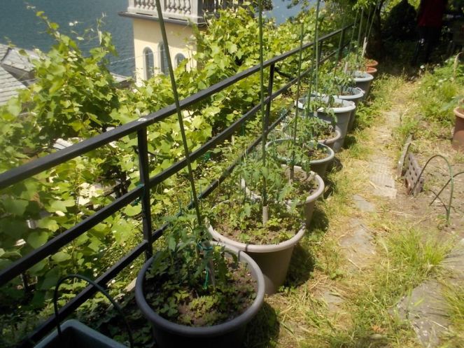 DSCN3442 (FILEminimizer)