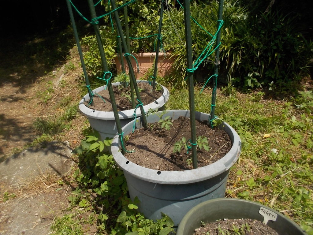 DSCN3445 (FILEminimizer)