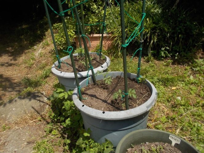 DSCN3445 (FILEminimizer)