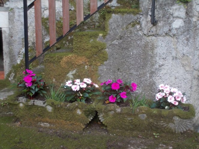 DSCN3456 (FILEminimizer)