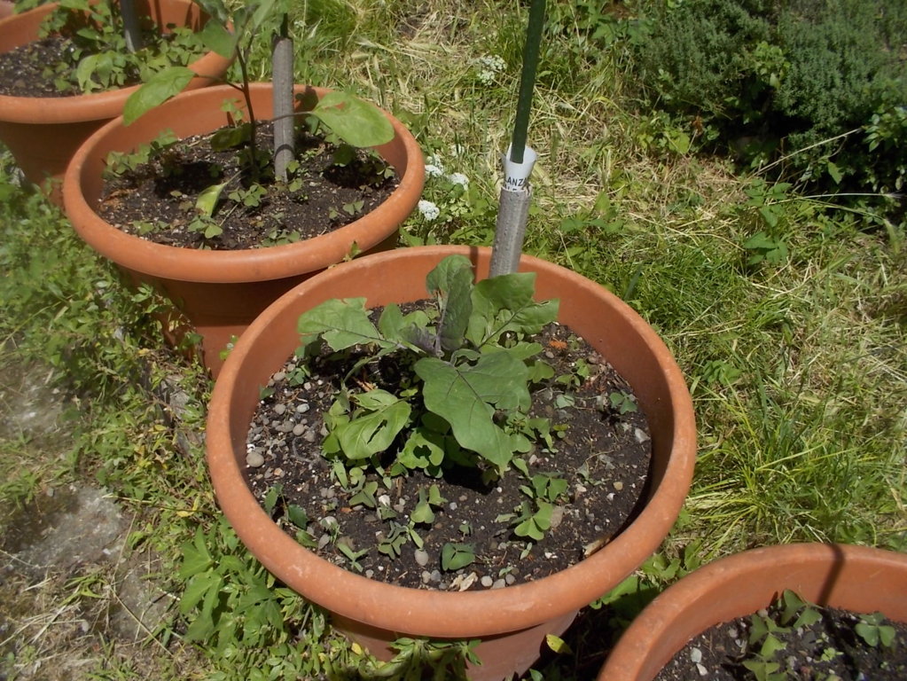 DSCN3459 (FILEminimizer)