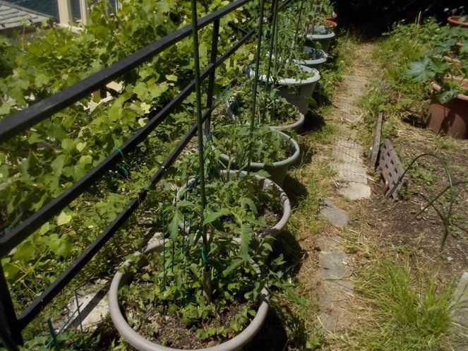 DSCN3463 (FILEminimizer)