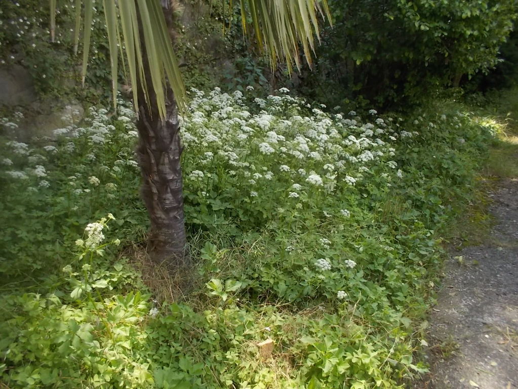 DSCN3465 (FILEminimizer)