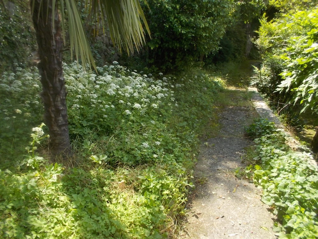 DSCN3466 (FILEminimizer)