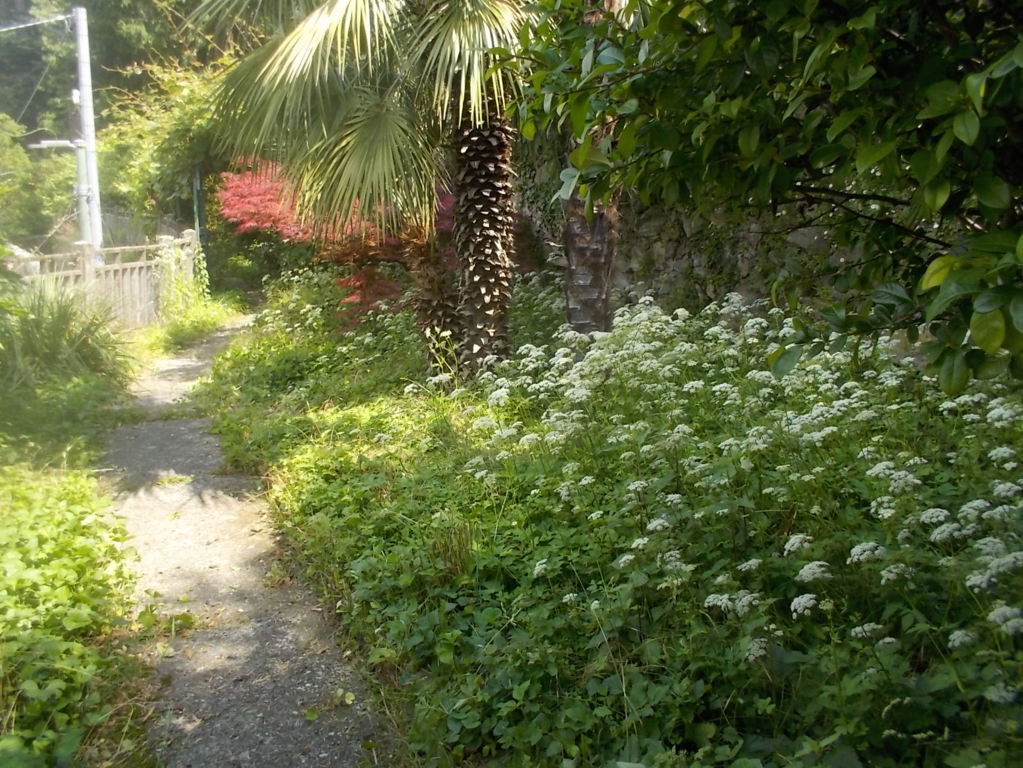 DSCN3467 (FILEminimizer)