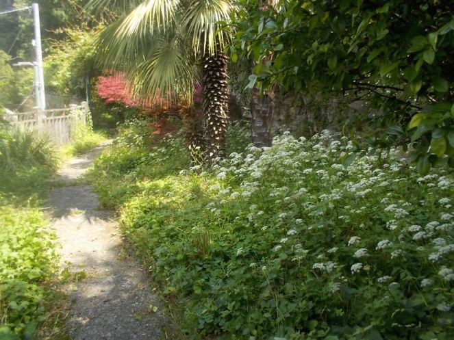 DSCN3467 (FILEminimizer)