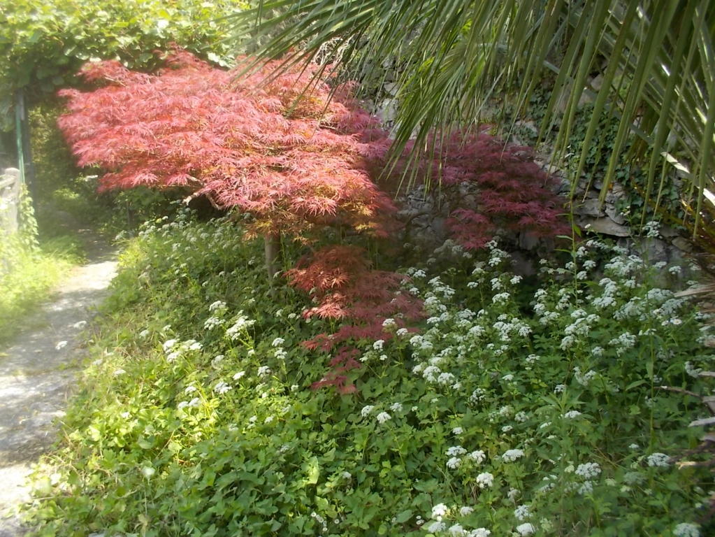 DSCN3468 (FILEminimizer)