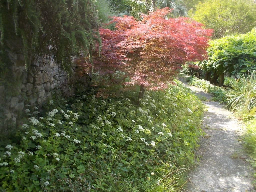 DSCN3471 (FILEminimizer)