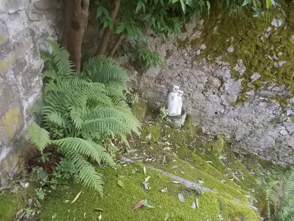 DSCN3472 (FILEminimizer)